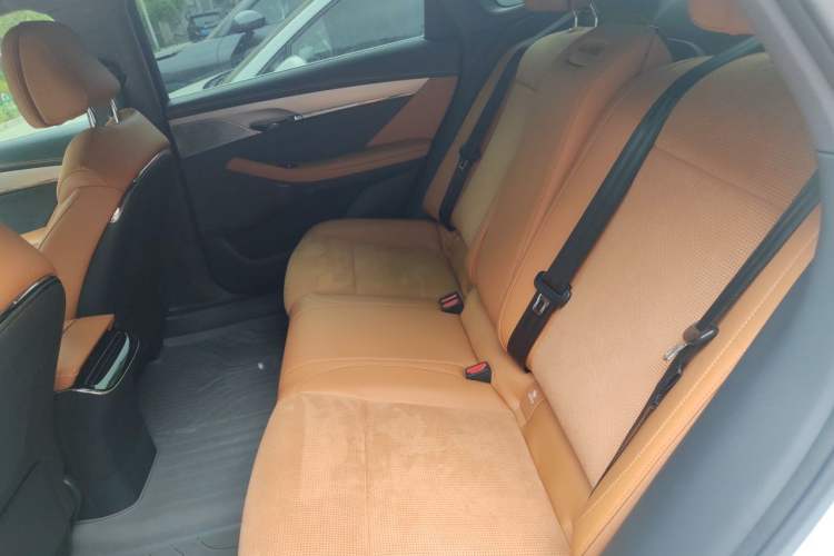 Used VOYAH PASSION 2024 PHEV Four-Wheel Drive Ultra-Long Range Flagship Model Left Rear Seat
