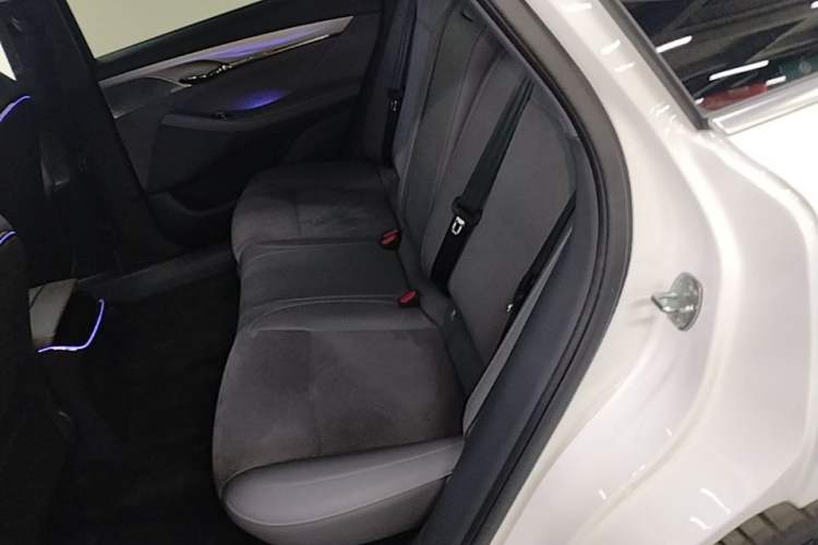 Used VOYAH PASSION 2024 PHEV Four-Wheel Drive Ultra-Long Range Flagship Model Left Rear Seat