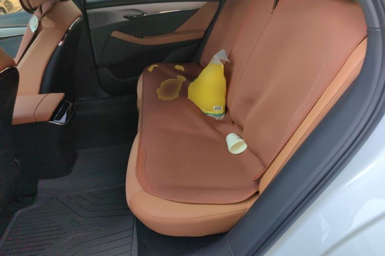 Used VOYAH PASSION 2024 PHEV Four-Wheel Drive Ultra-Long Range Flagship Model Left Rear Seat