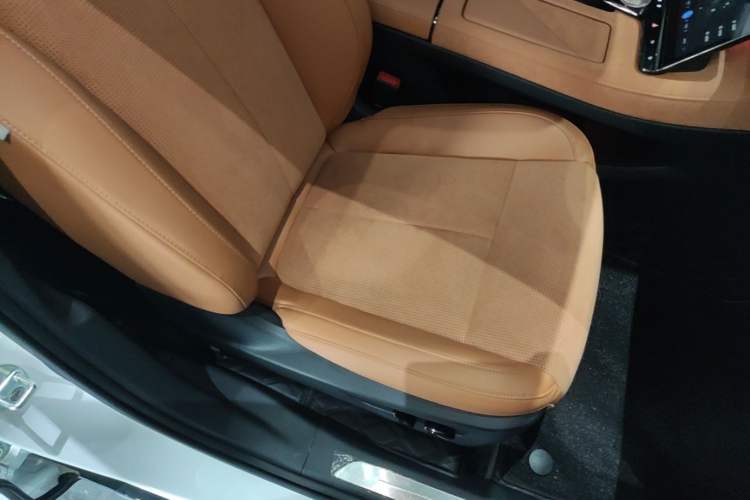 Used VOYAH PASSION 2024 PHEV Four-Wheel Drive Ultra-Long Range Executive Edition Right Front Seat