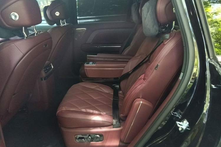 Used VOYAH Titan 2026 Model Max+ Left Rear Seat