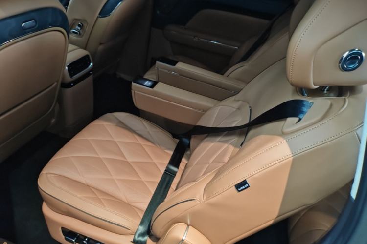 Used VOYAH Titan 2026 Model Max+ Left Rear Seat