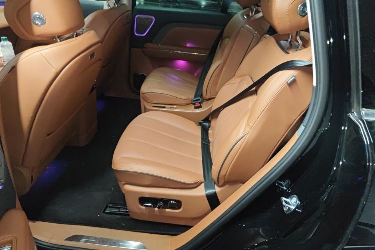 Used VOYAH Titan 2026 Model Max Left Rear Seat