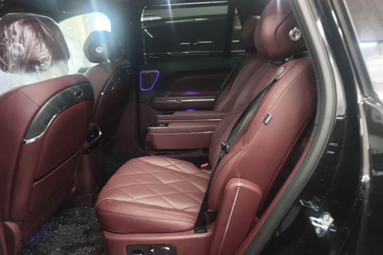 Used VOYAH Titan 2026 Model Max+ Left Rear Seat