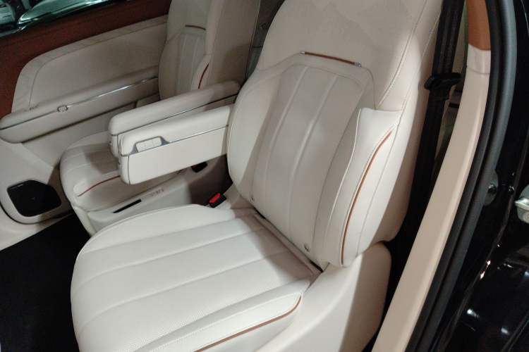 Used VOYAH Titan 2026 Model Max Left Rear Seat