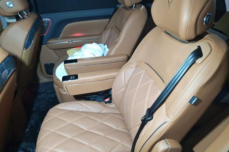 Used VOYAH Titan 2026 Model Max+ Left Rear Seat
