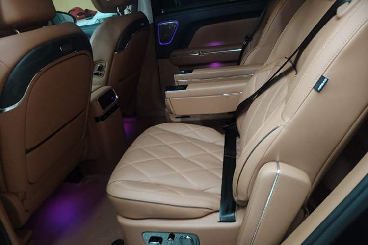 Used VOYAH Titan 2026 Model Max+ Left Rear Seat