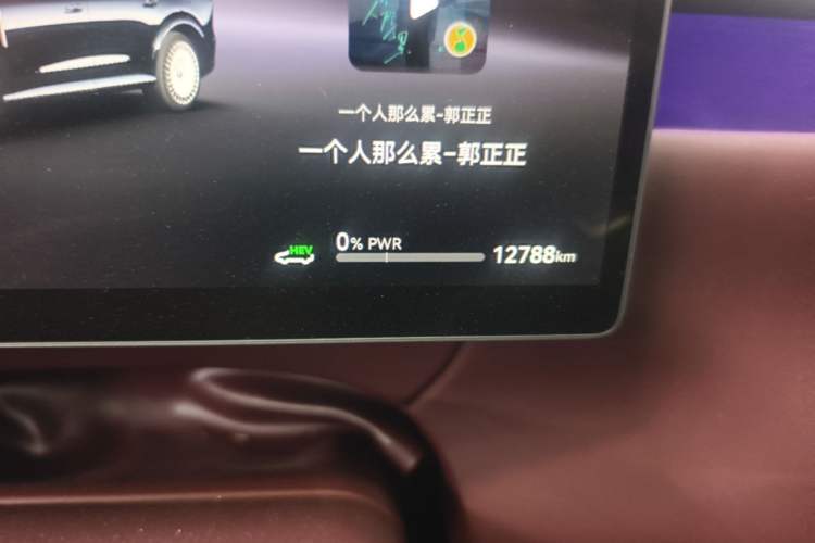Used VOYAH Titan 2026 Model Max+ Odometer Close Up