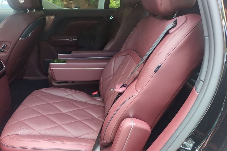 Used VOYAH Titan 2026 Model Max+ Left Rear Seat