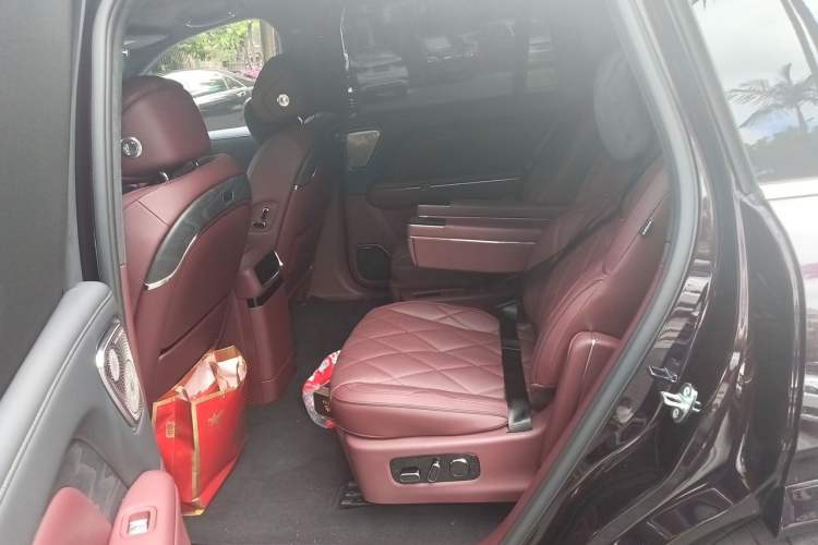 Used VOYAH Titan 2026 Model Max+ Left Rear Seat