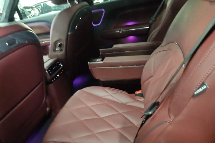 Used VOYAH Titan 2026 Model Max+ Left Rear Seat