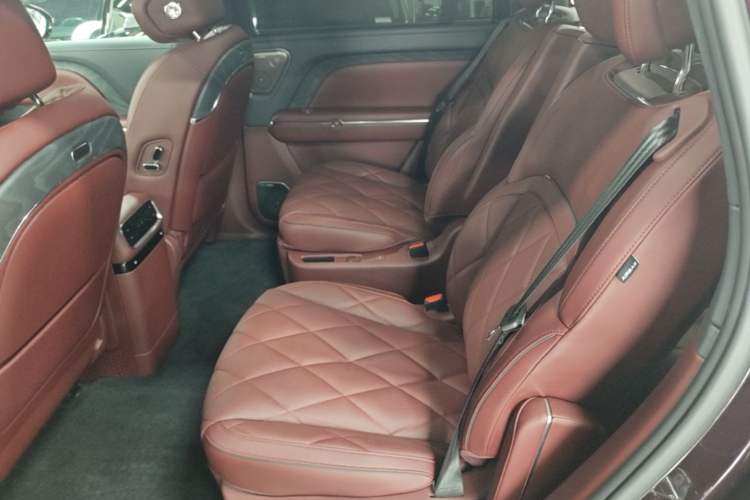 Used VOYAH Titan 2026 Model Max+ Left Rear Seat
