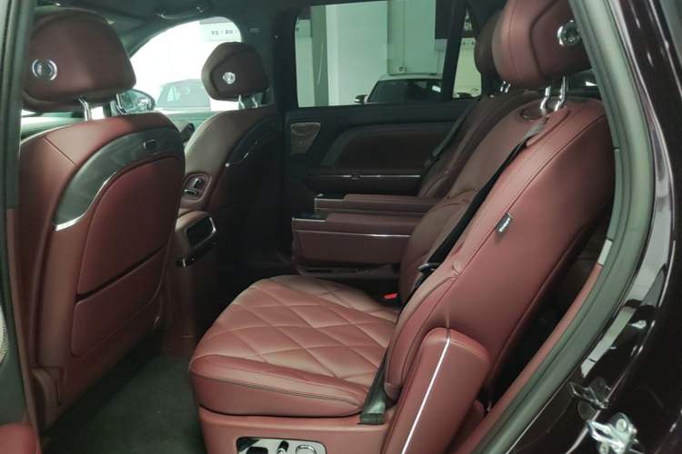 Used VOYAH Titan 2026 Model Max+ Left Rear Seat