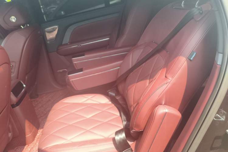 Used VOYAH Titan 2026 Model Max+ Left Rear Seat