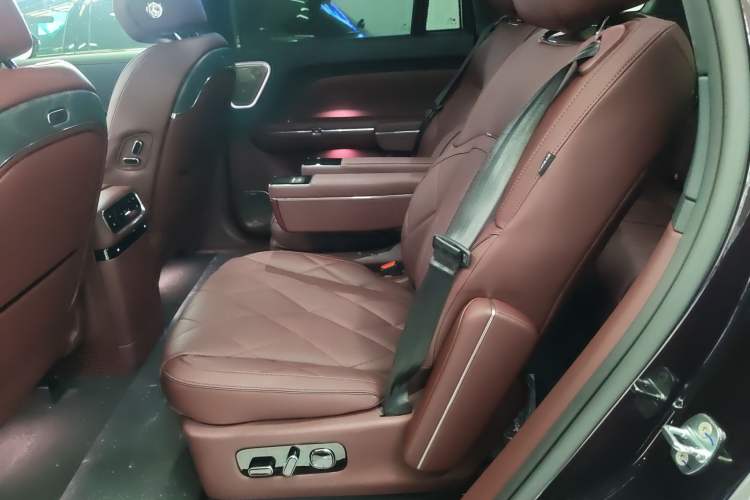 Used VOYAH Titan 2026 Model Max+ Left Rear Seat