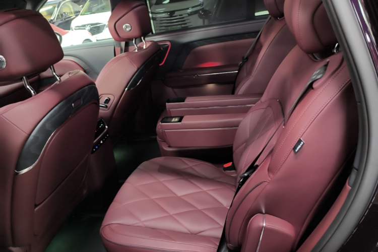 Used VOYAH Titan 2026 Model Max+ Left Rear Seat