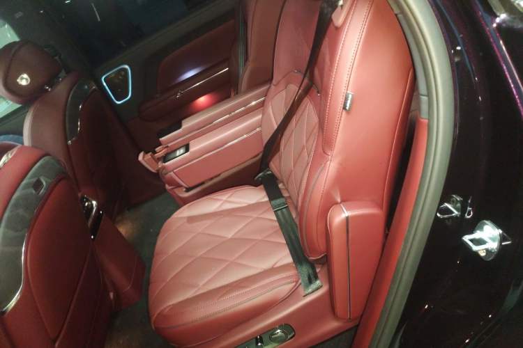 Used VOYAH Titan 2026 Model Ultra Left Rear Seat