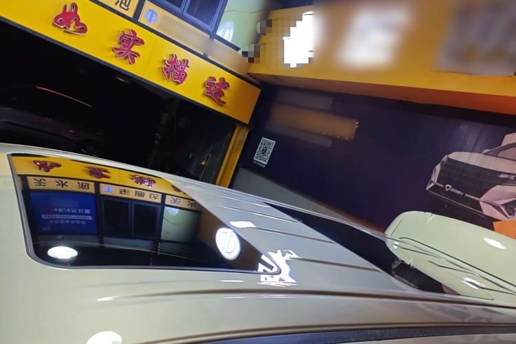 Used Wey Gaoshan 2023 Four-Wheel Drive Flagship Edition Roof