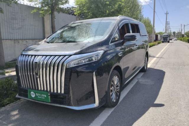 Used Wey Gaoshan 2023 Four-Wheel-Drive Executive Extended Version