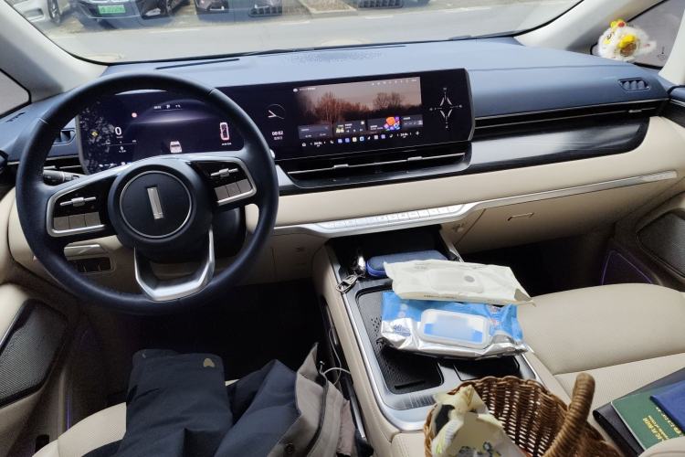 Used Wey Gaoshan 2023 Four-Wheel Drive Flagship Edition Center Console