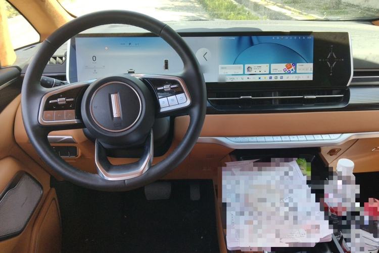 Used Wey Gaoshan 2023 Four-Wheel-Drive Executive Extended Version Center Console