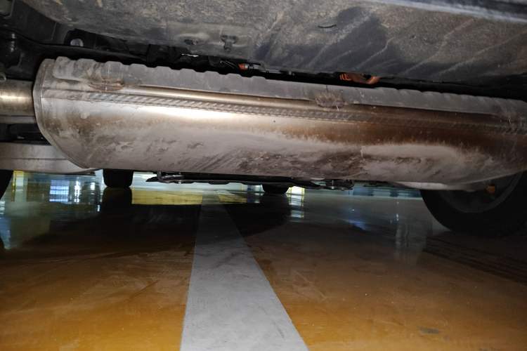 Used Wey Gaoshan 2023 Four-Wheel-Drive Executive Extended Version Chassis Rear
