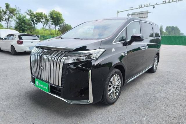 Used Wey Gaoshan 2023 Four-Wheel Drive Flagship Edition