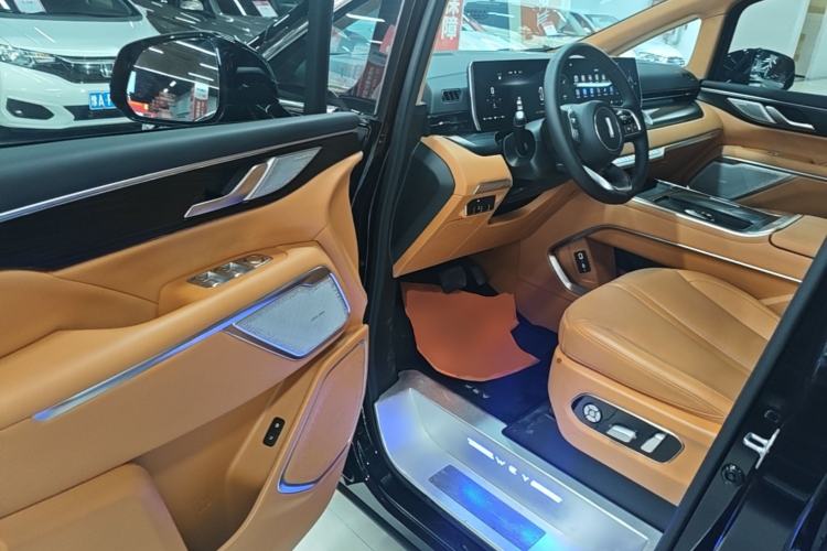 Used Wey Gaoshan 2023 Four-Wheel-Drive Executive Extended Version Driver Seat