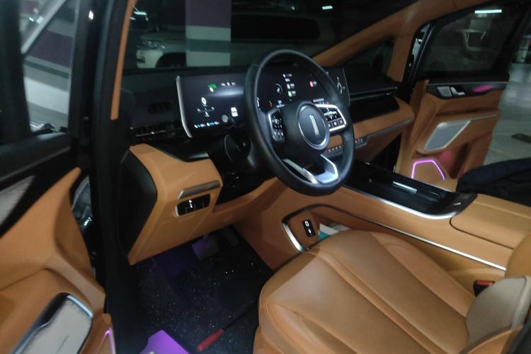 Used Wey Gaoshan 2023 Four-Wheel-Drive Executive Extended Version Driver Seat