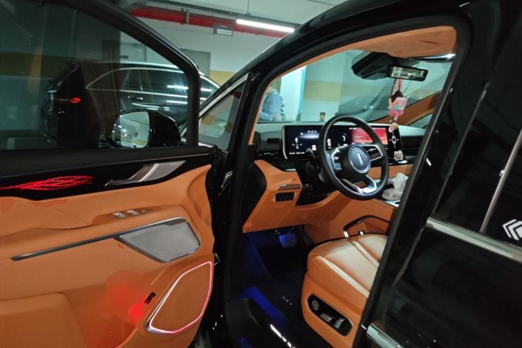 Used Wey Gaoshan 2023 Four-Wheel-Drive Executive Extended Version Driver Seat