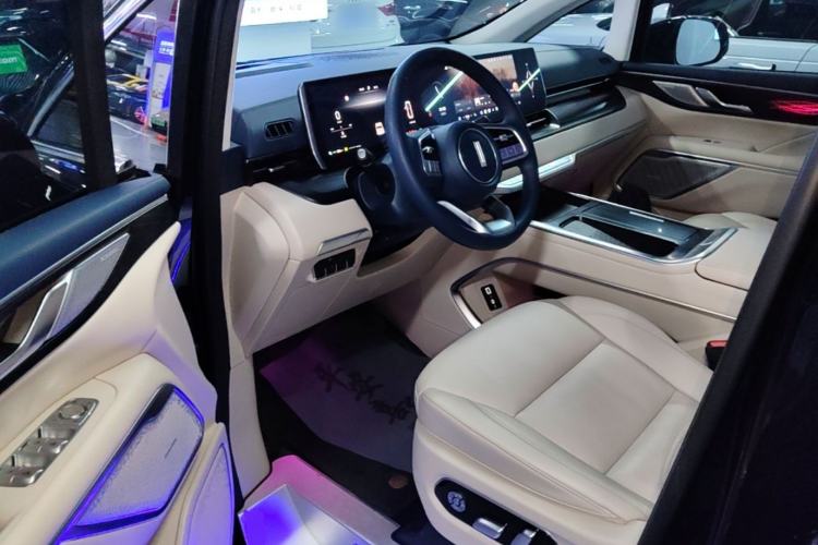 Used Wey Gaoshan 2023 Four-Wheel Drive Flagship Edition Driver Seat