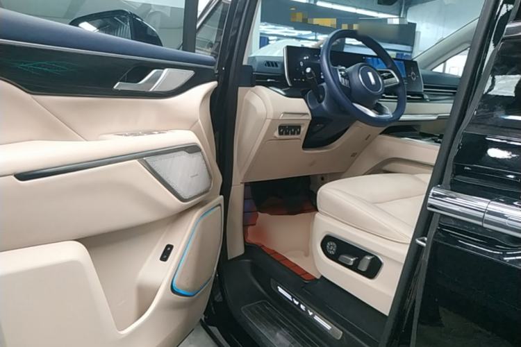 Used Wey Gaoshan 2023 Four-Wheel Drive Flagship Edition Driver Seat