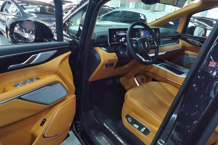 Used Wey Gaoshan 2023 Four-Wheel-Drive Executive Extended Version Driver Seat