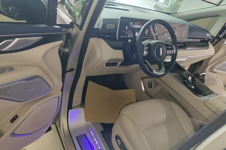 Used Wey Gaoshan 2023 Four-Wheel Drive Flagship Edition Driver Seat