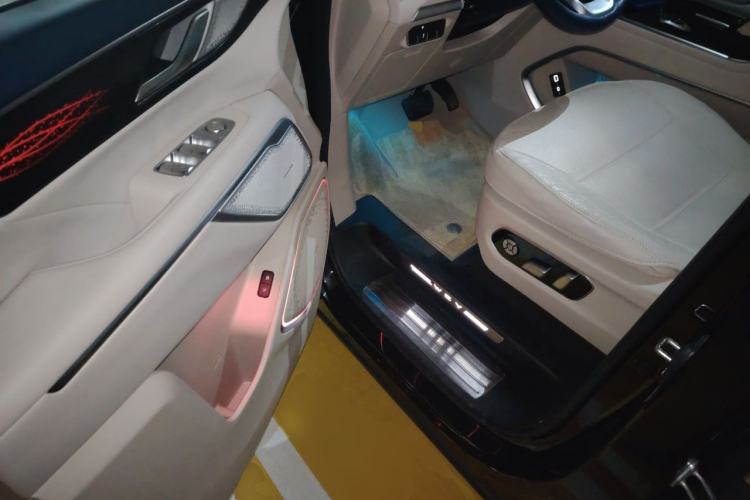 Used Wey Gaoshan 2023 Four-Wheel Drive Flagship Edition Driver Seat