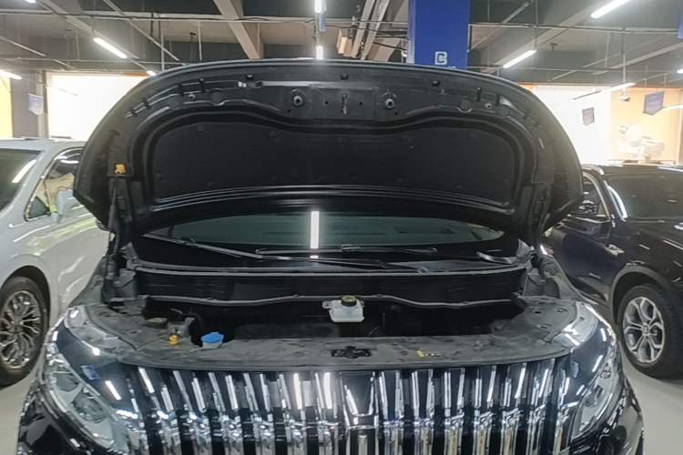 Used Wey Gaoshan 2023 Four-Wheel-Drive Executive Extended Version Engine Bay