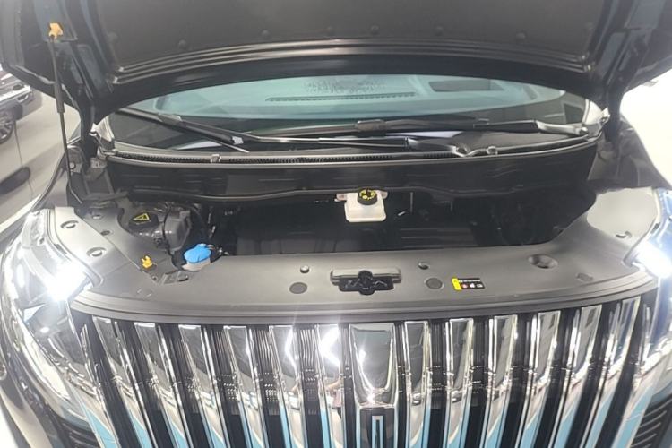 Used Wey Gaoshan 2023 Four-Wheel-Drive Executive Extended Version Engine Bay