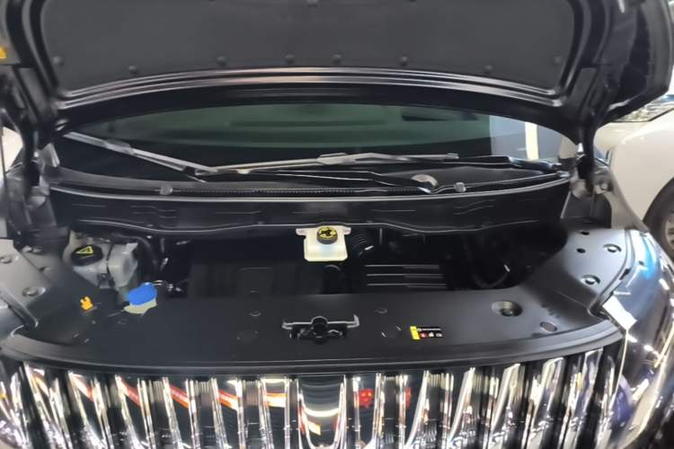 Used Wey Gaoshan 2023 Four-Wheel-Drive Executive Extended Version Engine Bay