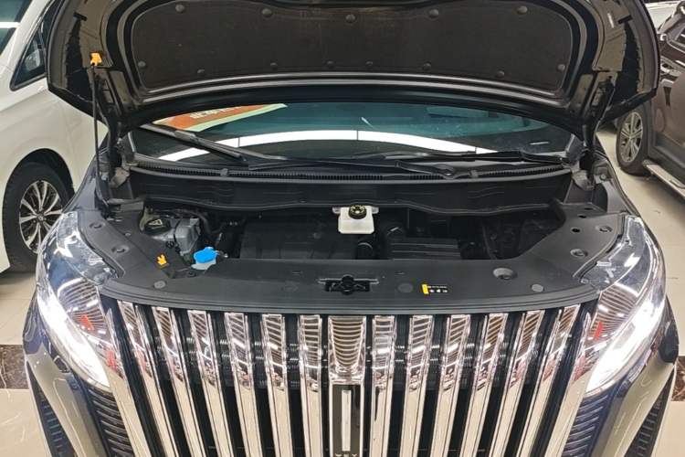 Used Wey Gaoshan 2023 Four-Wheel-Drive Executive Extended Version Engine Bay