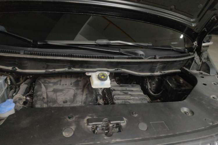 Used Wey Gaoshan 2023 Four-Wheel-Drive Executive Extended Version Engine Bay