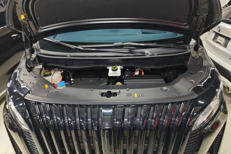 Used Wey Gaoshan 2023 Four-Wheel Drive Flagship Edition Engine Bay
