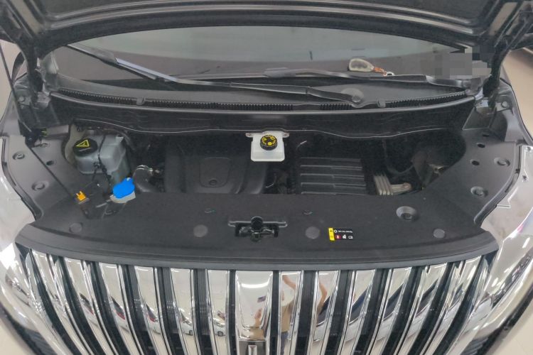Used Wey Gaoshan 2023 Four-Wheel-Drive Executive Extended Version Engine Bay