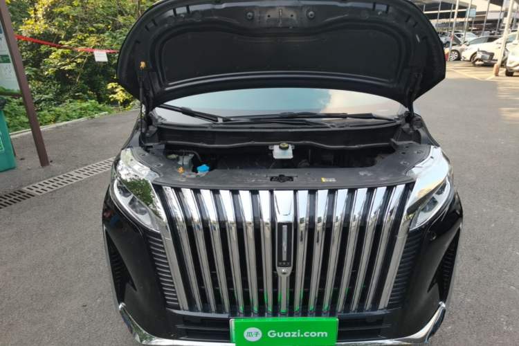 Used Wey Gaoshan 2023 Four-Wheel-Drive Executive Extended Version Engine Bay