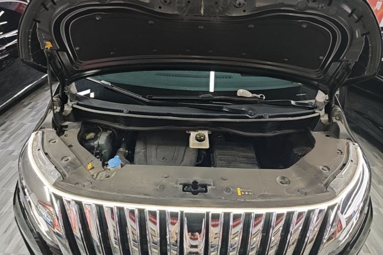 Used Wey Gaoshan 2023 Four-Wheel-Drive Executive Extended Version Engine Bay