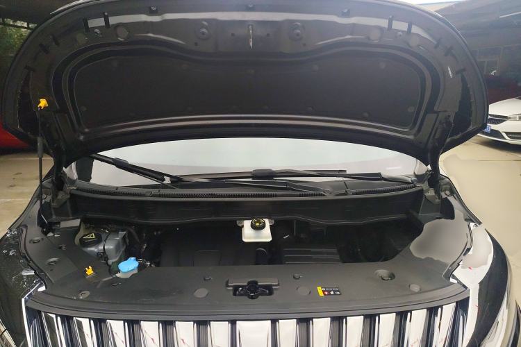 Used Wey Gaoshan 2023 Four-Wheel-Drive Executive Extended Version Engine Bay