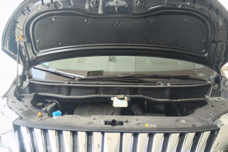 Used Wey Gaoshan 2023 Four-Wheel-Drive Executive Extended Version Engine Bay