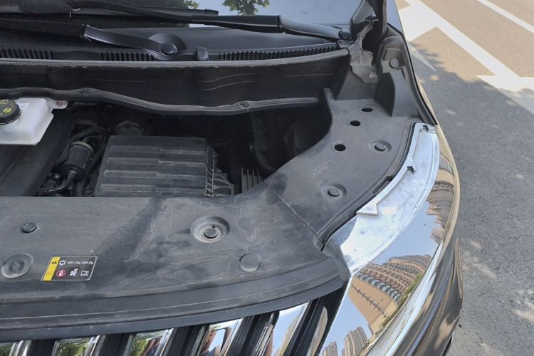 Used Wey Gaoshan 2023 Four-Wheel-Drive Executive Extended Version Engine Bay Left