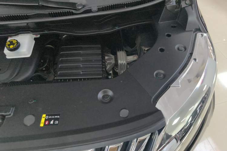 Used Wey Gaoshan 2023 Four-Wheel-Drive Executive Extended Version Engine Bay Left