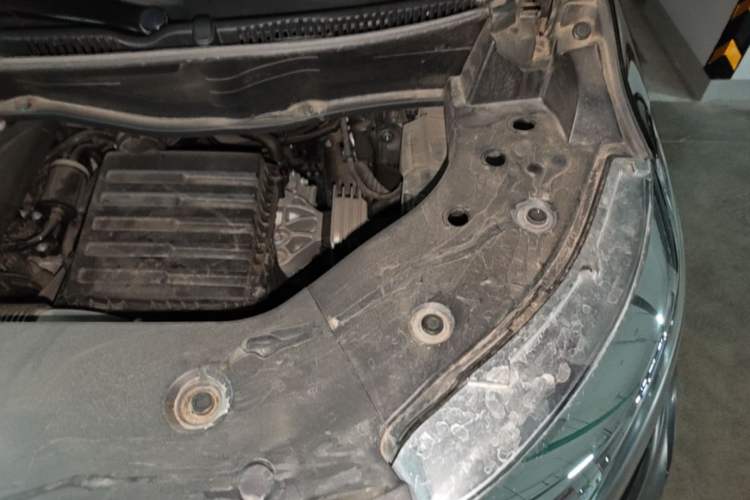 Used Wey Gaoshan 2023 Four-Wheel-Drive Executive Extended Version Engine Bay Left