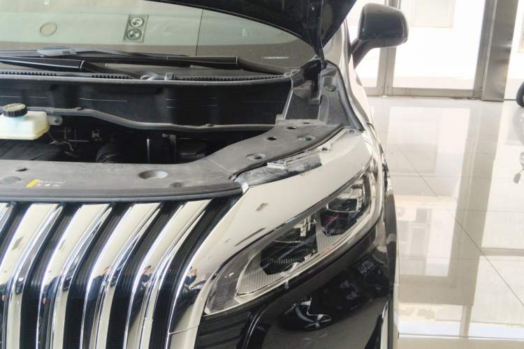 Used Wey Gaoshan 2023 Four-Wheel-Drive Executive Extended Version Engine Bay Left